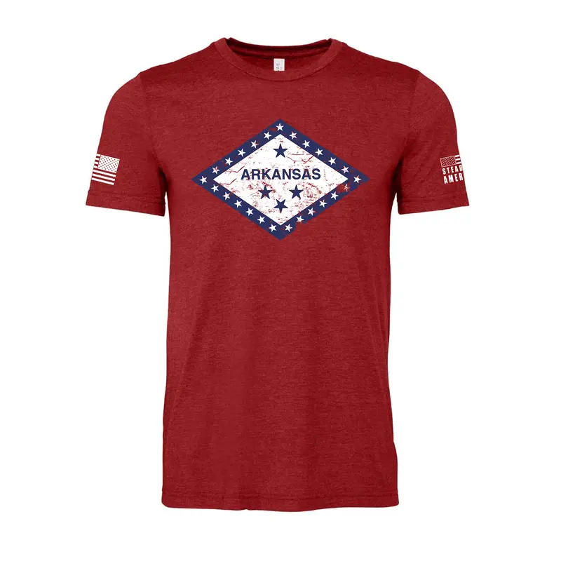 Steadfast American Arkansas State Flag Graphic T-Shirt 1